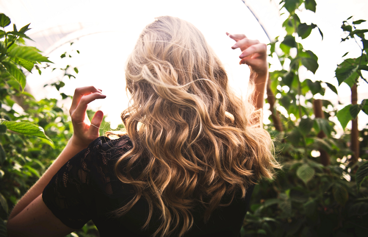 1650283650 sin t tulo