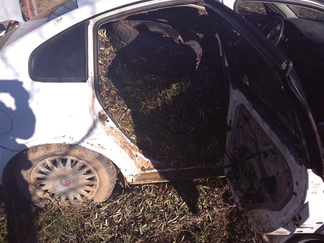 Aceitunas robadas en el interior del vehículo interceptado | POLICÍA LOCAL DE TALAVERA ep aceitunas robadasinteriorvehiculo interceptado