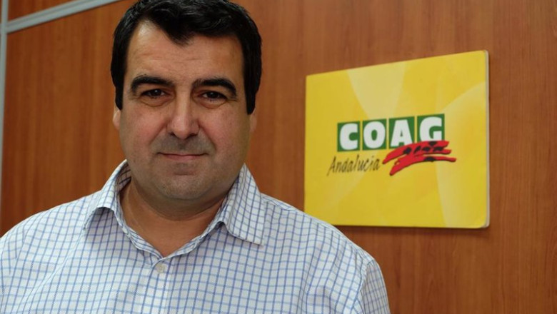 ep archivo andres gongora responsable estatal de frutas y hortalizas de coag ep archivo andres gongora responsable estatal de frutas y hortalizas de coag
