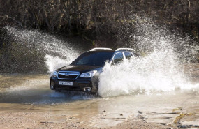 ep archivo   subaru forester