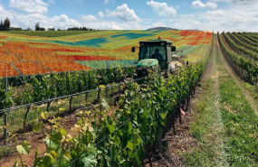 ep archivo   upc crea el centro agrotech para avanzar en las tecnologias agroalimentarias