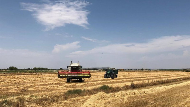 ep mondelez international estima una cosecha de 20000 toneladas de trigo en la campana 2019-20