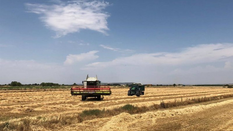 Mondelez International estima una cosecha de 20.000 toneladas de trigo en la campaña 2019-20 | MONDELEZ INTERNATIONAL - Archivo ep mondelez international estima una cosecha de 20000 toneladas de trigo en la campana 2019-20