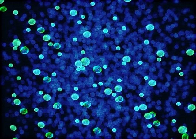 ep patogeno bacteria