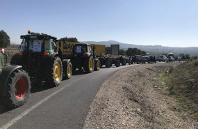 ep vehiculos participantes en la tractorada de lucena