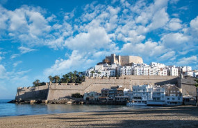 pexels pexels photo 15138932