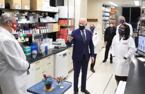 pfizer biontech dl covid covid 19 vaccine pharma biotechnology nih pfizer biontech dl covid covid 19 vaccine pharma biotechnology nih