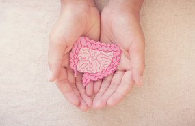 1 ndp sibo 1 1 ndp sibo 1