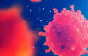 cbvirus mutado w1 cbvirus mutado w1
