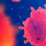 cbvirus mutado w1 cbvirus mutado w1
