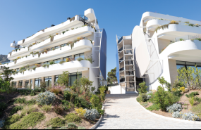 delfin natura 5 delfin natura 5