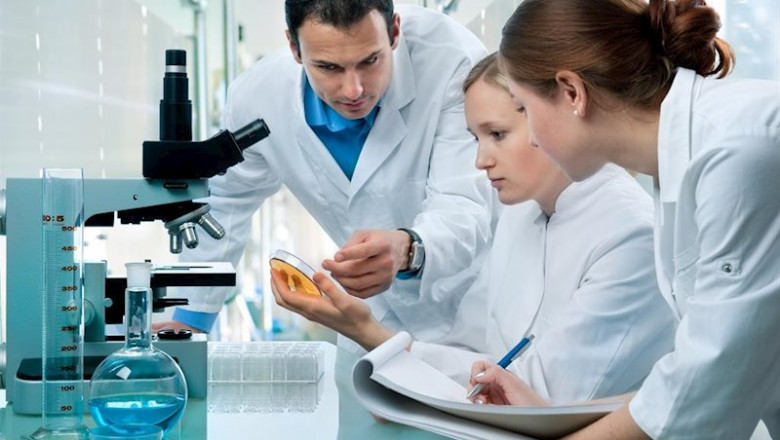 Curso de cosmética | STANPA - Archivo ep curso de cosmetica
