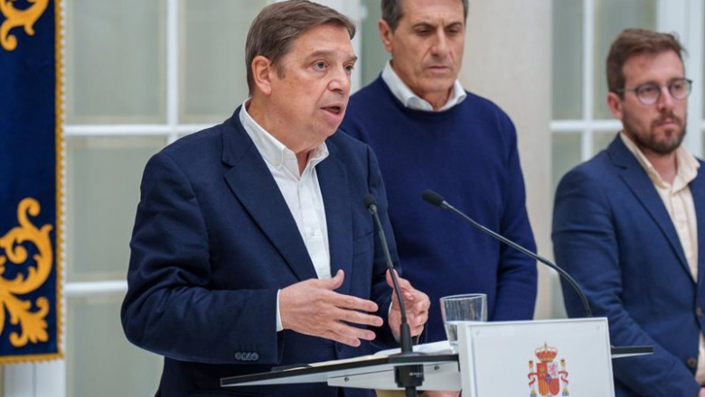 Imagen de archivo del ministro de Agricultura, Pesca y Alimentación Luis Planas interviene tras la reunión con los afectados por las graves lluvias. A 13 de febrero de 2026 en Sevilla. | Francisco J. Olmo - Europa Press ep imagen de archivo del ministro de agricultura pesca y alimentacion luis planas interviene tras la