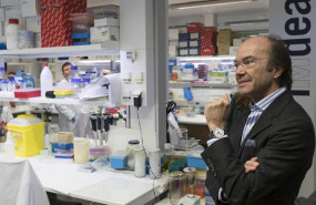 ep imagend de recurso del consejero de ciencia universidades e innovacion del gobierno regional