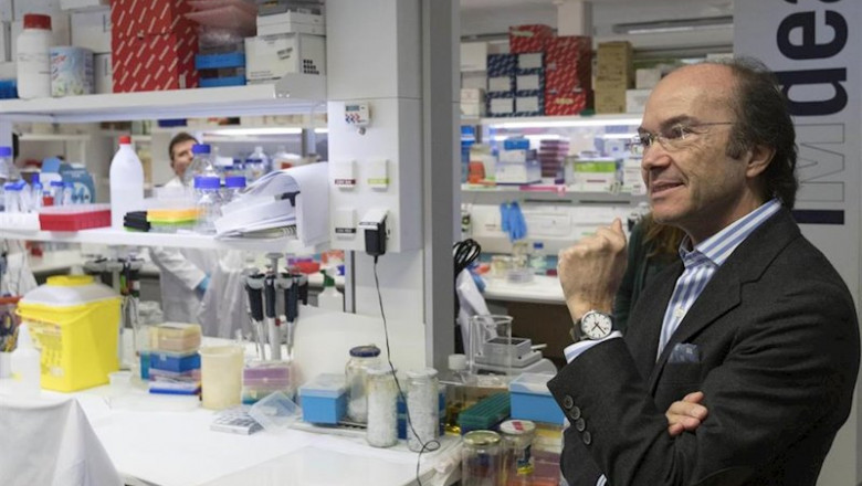 ep imagend de recurso del consejero de ciencia universidades e innovacion del gobierno regional ep imagend de recurso del consejero de ciencia universidades e innovacion del gobierno regional