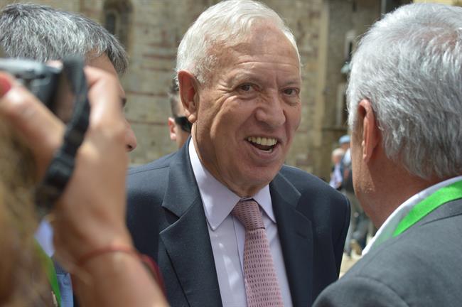 ep jose manuel garcia-margallo diputadoalicante