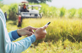 ep un usuario utilizando su smartphone en el campo ep un usuario utilizando su smartphone en el campo
