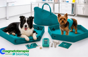 matenoterapia biomag veterinaria