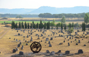 necropolis las ruedas pintia   ganador concurso de cementerios 2025 